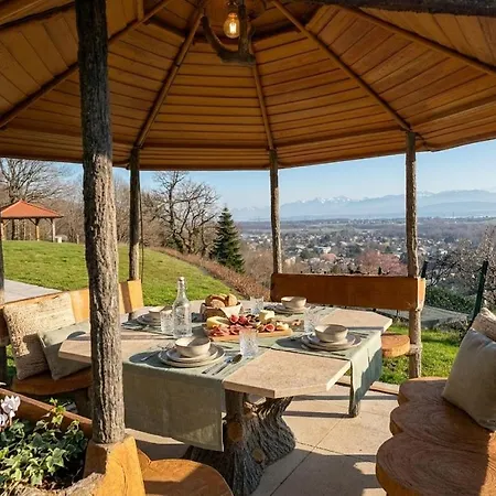 De Prestige Vue & Alpes 6 20 Min Geneve *